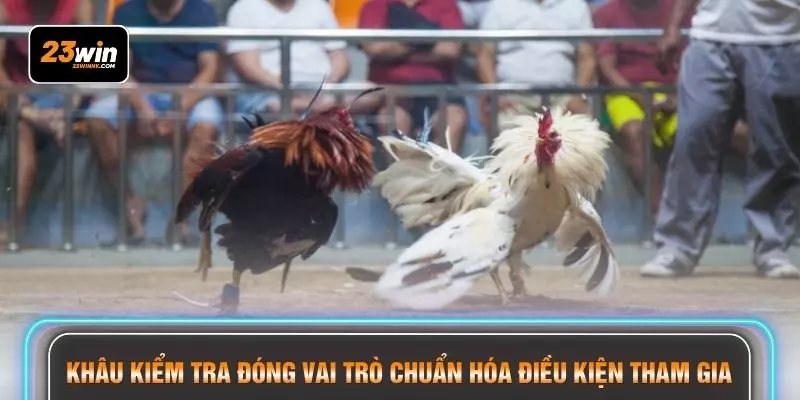 Khâu kiểm tra đóng vai trò chuẩn hóa điều kiện tham gia