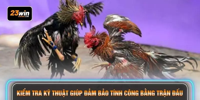 Kiểm tra kỹ thuật giúp đảm bảo tính công bằng trận đấu